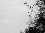 Fotoblog zgredek24