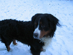 Fotoblog jaska210