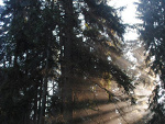 Fotoblog aluminium18