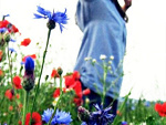 Fotoblog camomilee
