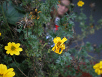 Fotoblog kewelina