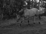 Fotoblog megan2