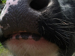 Fotoblog adulec904