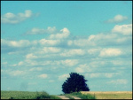 Fotoblog alutteczka1998