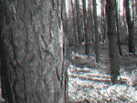 Fotoblog whisper98