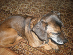 Fotoblog 505626357
