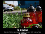 Fotoblog wiolka3008