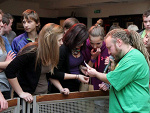 Fotoblog zrupmy3odee