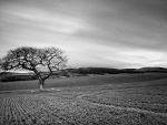 Fotoblog reli