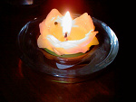 Fotoblog zola17