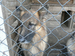 Fotoblog toresika