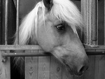 Fotoblog julia13133