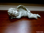 Fotoblog pala12366