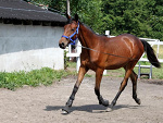 Fotoblog arla94