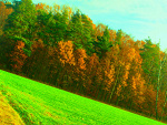 Fotoblog krotexun