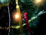 Fotoblog nikoska1122