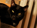 Fotoblog miszawrrr