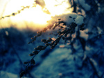 Fotoblog ejpiona