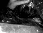 Fotoblog addampyrz