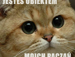 Fotoblog tylkomnieniezjedz9