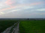 Fotoblog xxbilliejeanxx