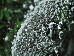 Fotoblog igaa