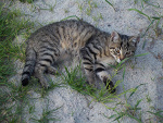 Fotoblog ziuta2