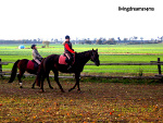 Fotoblog livingdreams14ms