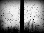 Fotoblog shakedabooty