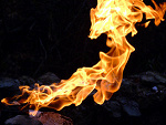 Fotoblog zenovia