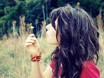 Fotoblog blackcurrant14