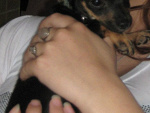 Fotoblog agii14