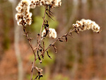 Fotoblog thomas55