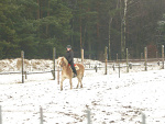 Fotoblog koniara10