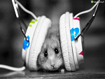 Fotoblog kciaaa1