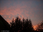 Fotoblog noti1