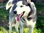 Fotoblog xczarrrnax