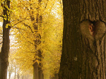 Fotoblog faak12