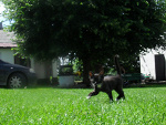Fotoblog karmelkowax7