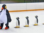 Fotoblog domisiowaniespodzianka