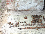 Fotoblog raf33