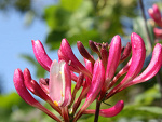 Fotoblog kawowaafryka
