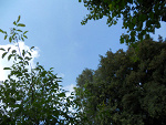 Fotoblog silverslayer