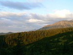 Fotoblog nesoxochi