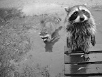 Fotoblog jockersmile