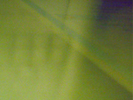 Fotoblog zwolo6