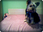 Fotoblog siskax33