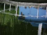 Fotoblog 159marzen