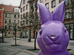 Fotoblog adminphotobloga