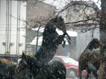 Fotoblog stajniaxczyzyk